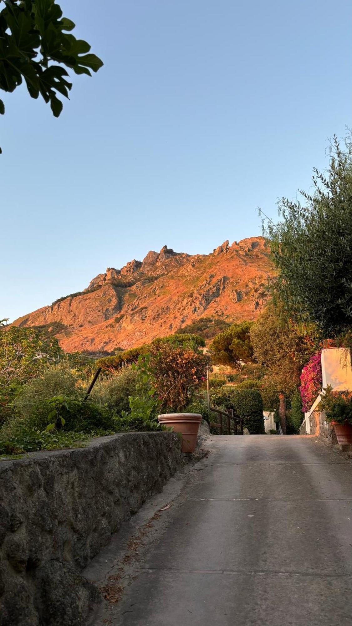 Villa Moma Giardino, Tennis E Piscina Panoramica Ischia Buitenkant foto
