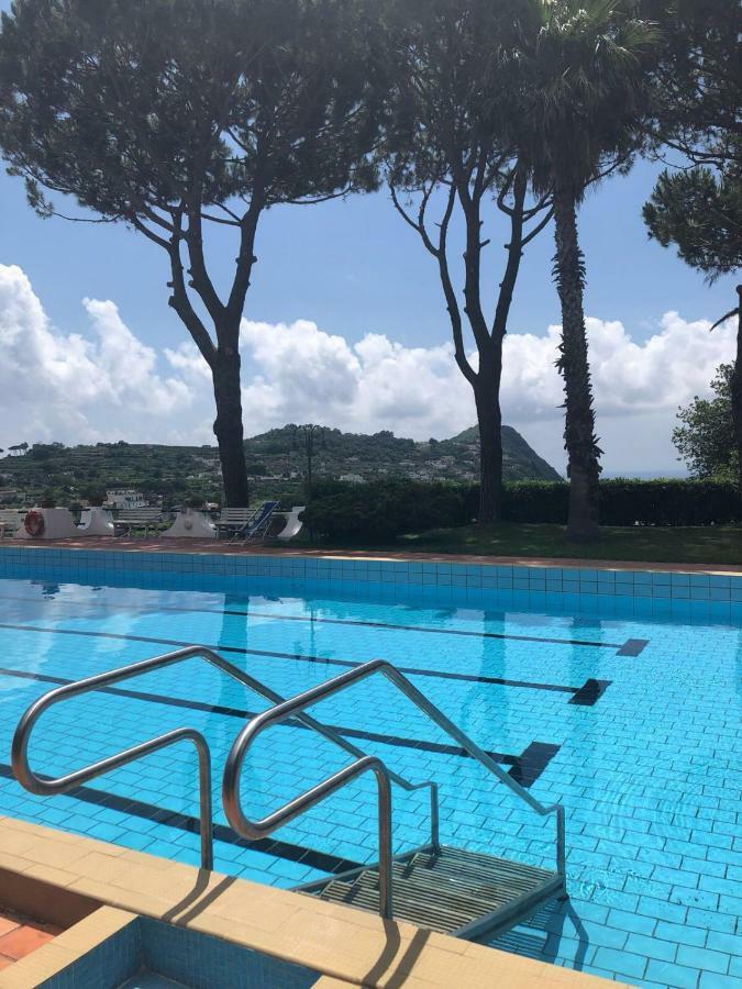 Villa Moma Giardino, Tennis E Piscina Panoramica Ischia Buitenkant foto