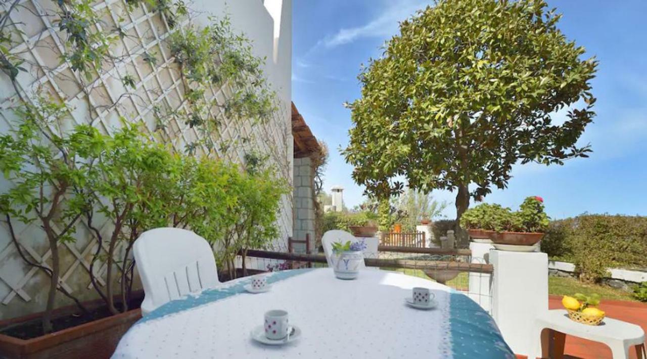 Villa Moma Giardino, Tennis E Piscina Panoramica Ischia Buitenkant foto