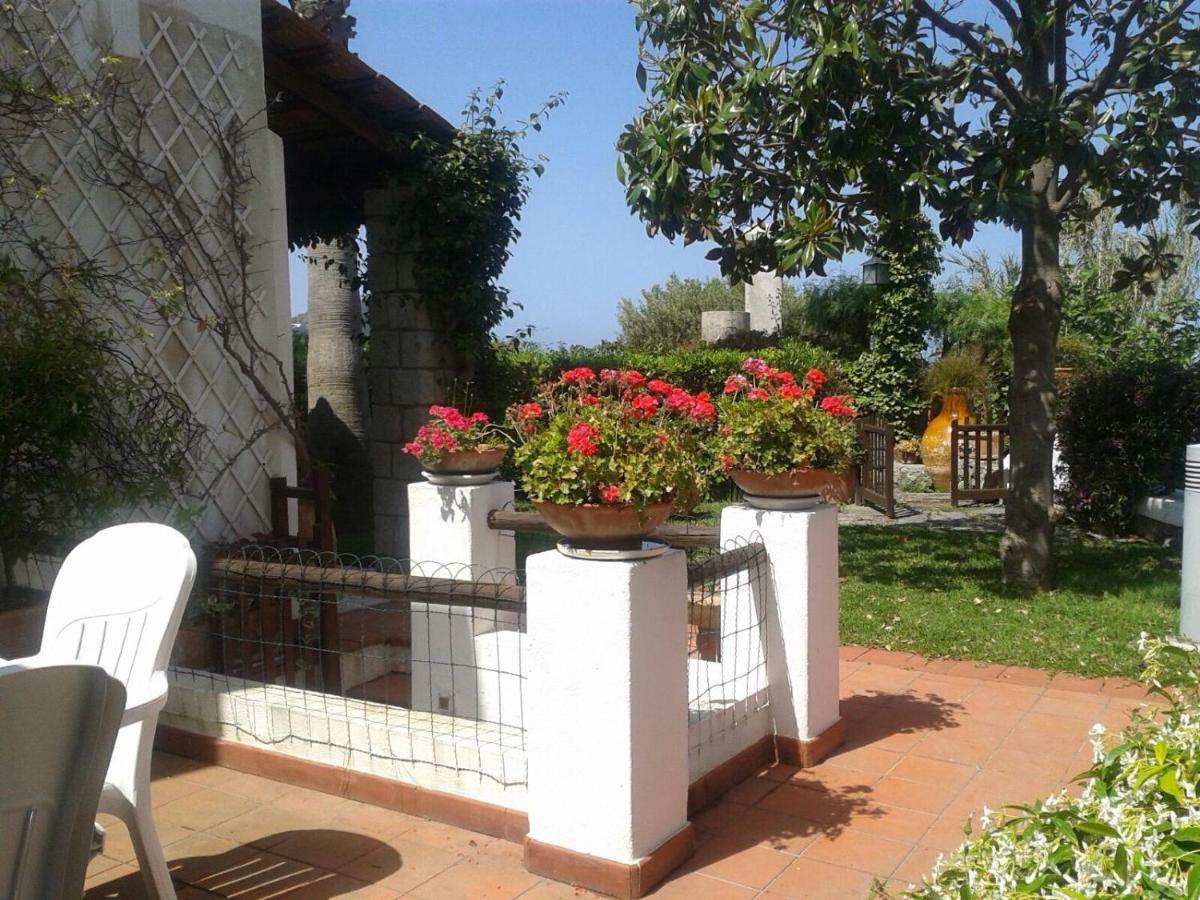Villa Moma Giardino, Tennis E Piscina Panoramica Ischia Buitenkant foto
